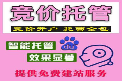 搜索引擎营销：sem竞价账户运营实战案例